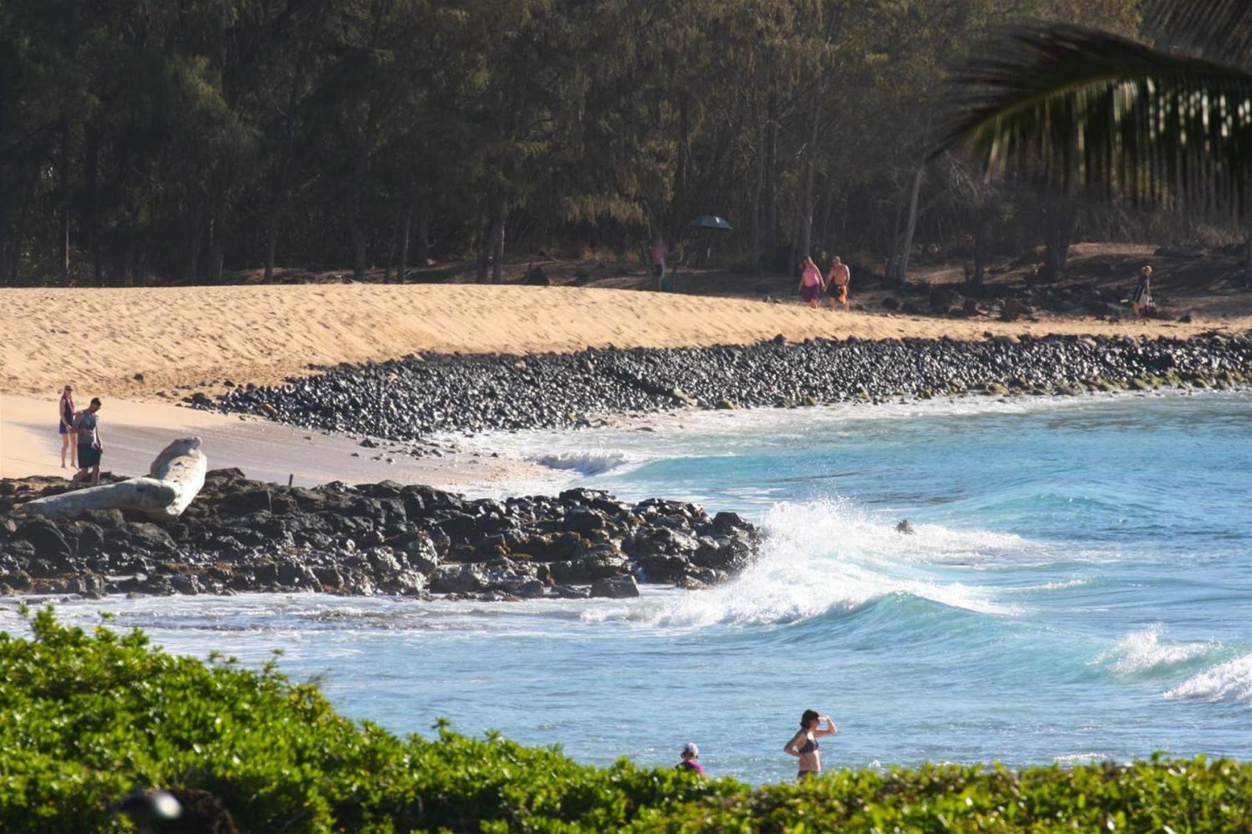 Poipu Sands 513 - Ocean Front Koloa Extérieur photo