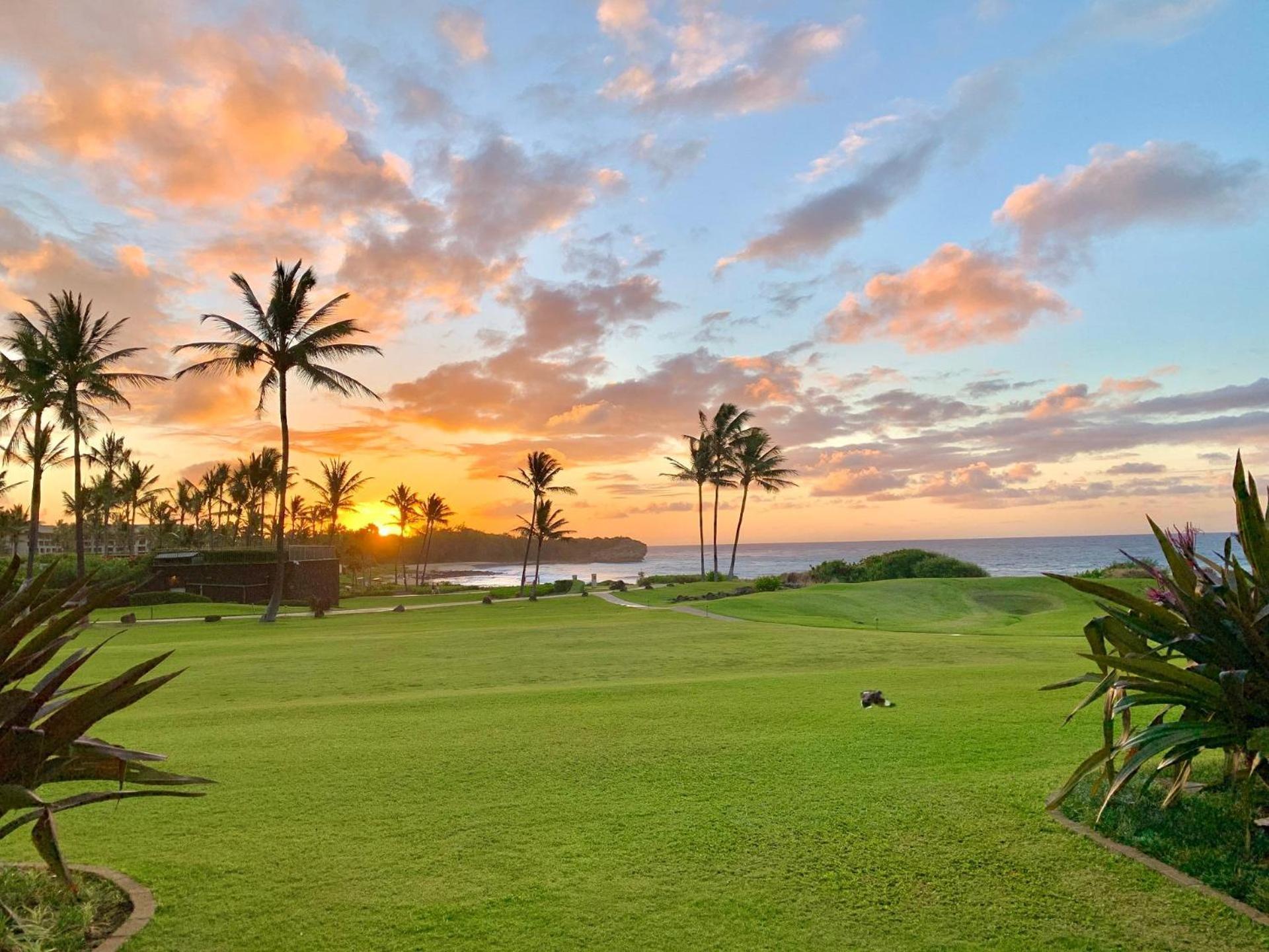 Poipu Sands 513 - Ocean Front Koloa Extérieur photo